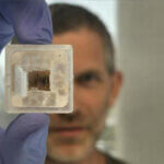 Origami-Technik optimiert Positionierung von Sensoren in 3D-gedruckten Gewebemodellen