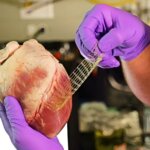 Forscher ermöglichen 3D-Druck von elastischen und haftenden Hydrogelen für die Gewebereparatur