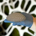 3D-gedrucktes Brustimplantat aus rhCollagen-Bioink, produziert auf einem Stratasys Origin 3D-Drucker