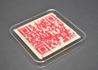 Essbarer QR-Code aus verschiedenen Milch-Inks, gedruckt mit einem 3D-Lebensmitteldrucker der Singapore University of Technology and Design