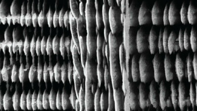 Nahaufnahme von 3D-gedruckten Mikrosuperkondensatoren aus siliziumreichem Glas, entwickelt an der KTH 3D-gedruckte Mikrosuperkondensatoren aus siliziumreichem Glas auf Siliziumsubstraten, vergrößert 4720-fach