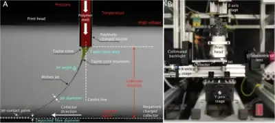 Detaillierte Ansicht des Melt-Electrowriting-Prozesses und der automatisierten MEW-Hardware der QUT. Detailliertes Diagramm des Melt-Electrowriting-Prozesses mit Taylor-Kegel und Polymerstrahl (links) sowie Foto der MEW-Hardware mit annotierten Komponenten wie X-, Y-, Z-Achsenstufen, Telezentriklinse und Kollektor (rechts).