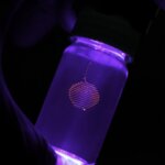 Nahaufnahme einer mit eingebettetem 3D-Druck hergestellten Spiralstruktur in einem Gelmedium, beleuchtet mit UV-Licht
