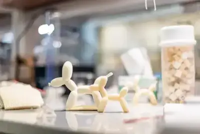 3D-gedruckter Schaumstoff-Ballonhund auf Labortisch mit Materialproben im Hintergrund, entwickelt von der University of Texas at Dallas