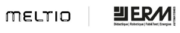 Logo Meltio