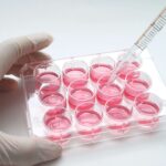 Wächst hier die Medizin von morgen? So formt 3D-Druck lebende Zellen zu funktionalem Gewebe