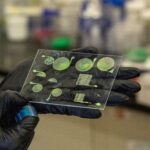 US-Ingenieure entwickeln 3D-gedruckte, farbwechselnde Materialien für smarte Anwendungen