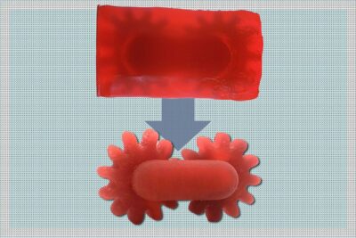 Zwei miteinander verbundene rote Zahnräder, 3D-gedruckt mit dem neuen Harz vom MIT, das durch Licht selektiv löslich oder stabil wird