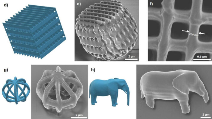 Mikroskopische 3D-Druckstrukturen inklusive Elefant und Gittergeometrien in lebender Zelle via Zwei-Photonen-Polymerisation CAD-Modelle und REM-Aufnahmen von mikroskopisch kleinen 3D-Druckstrukturen, darunter ein Elefant und Gitterstrukturen, die mittels Zwei-Photonen-3D-Druck in lebende Zellen eingebracht wurden