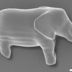 Mini-Elefant in der Zelle: Forschern gelingt erstmals 3D-Druck im Inneren lebender Zellen