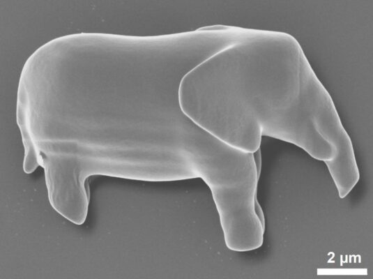 REM-Aufnahme eines 10 Mikrometer kleinen Elefantenmodells, das per Zwei-Photonen-3D-Druck in eine lebende Zelle eingebracht wurde